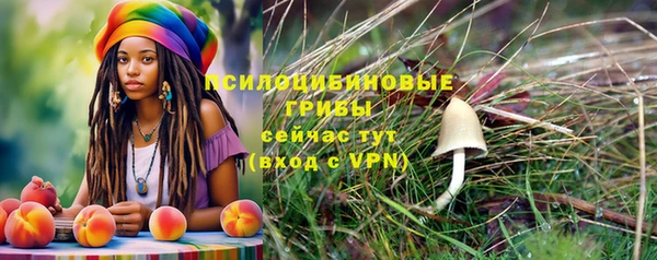 мдма Богданович