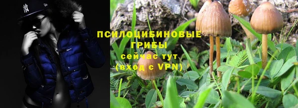 apvp Богородск
